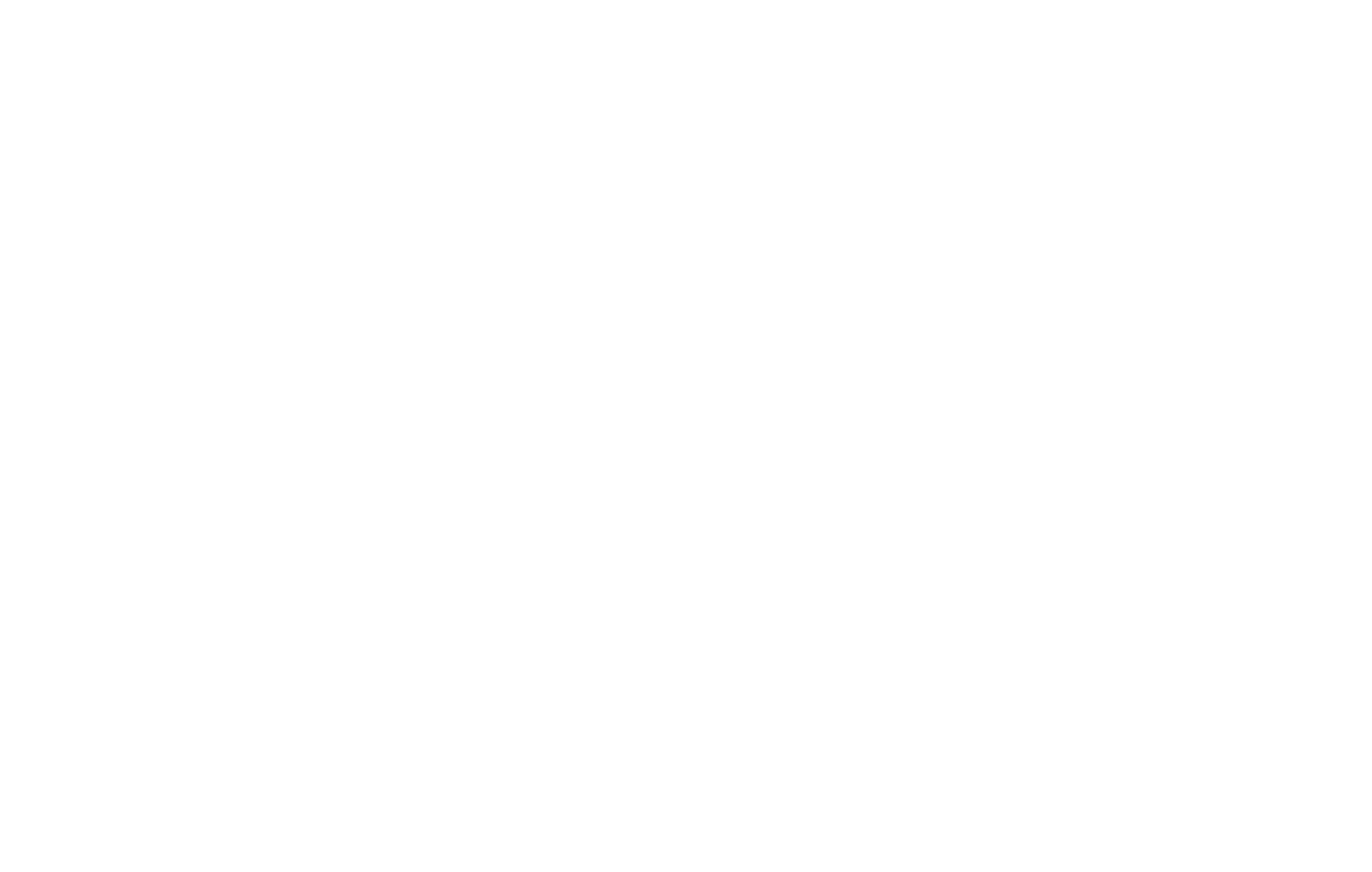 CAI Logo__white